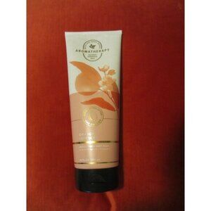 Bath & Body Works Aromatherapy Orange & Ginger Moisturizing Body Wash 10 Fl Oz
